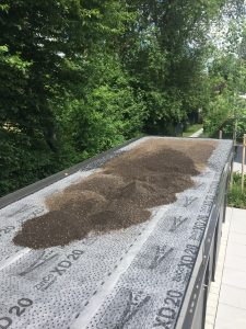 Extensive Dachbegrünung - Materialaufschüttung