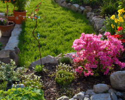 Gartenpflege Gartenpflege