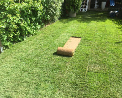 Pflanzungen und Rasenbau Pflanzungen und Rasenbau